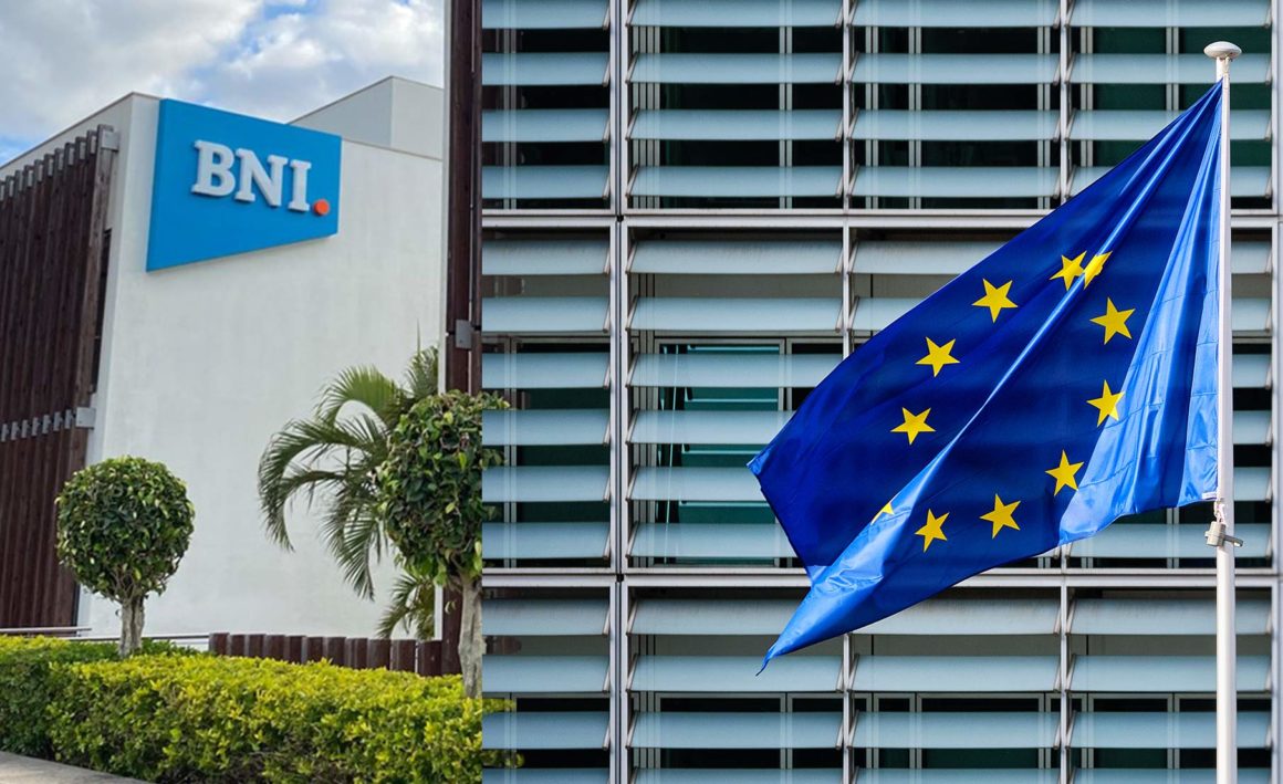 Mozambique BNI Bank to work with Europe on renewable energy